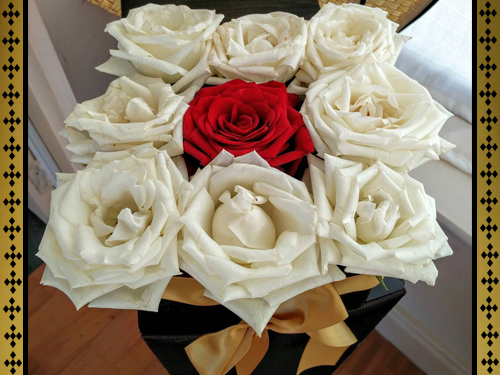 WHITE AND RED ROSES