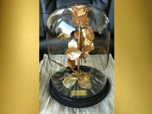 BEAUTY AND THE BEAST STYLE PRESERVED ROSE