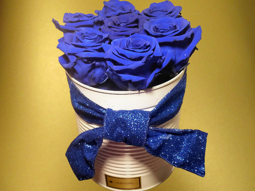 Blue Preserved Roses in white box