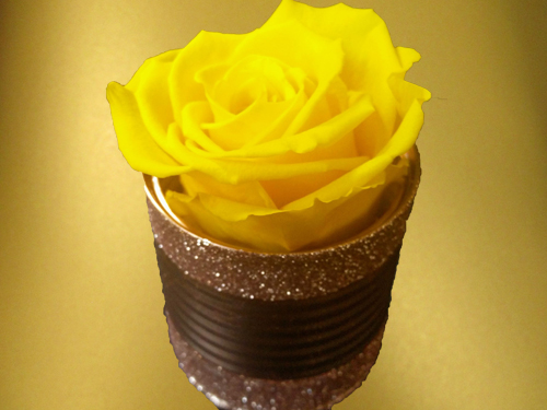 Yellow Rose in small box